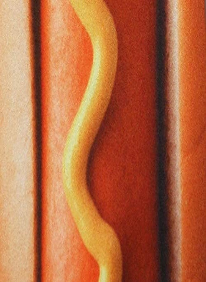 Three Rooker ربطات عنق هوت دوغ من ثري روكر، ربطات عنق طعام، ربطة عنق طويلة للرجال - Image 3